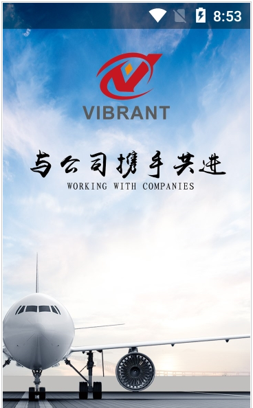 VIBRANT中文版截图1