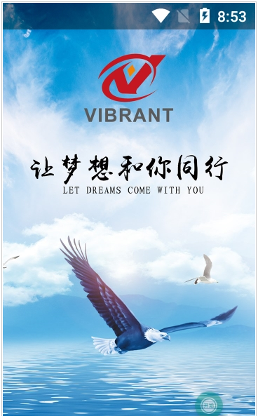 VIBRANT中文版截图2